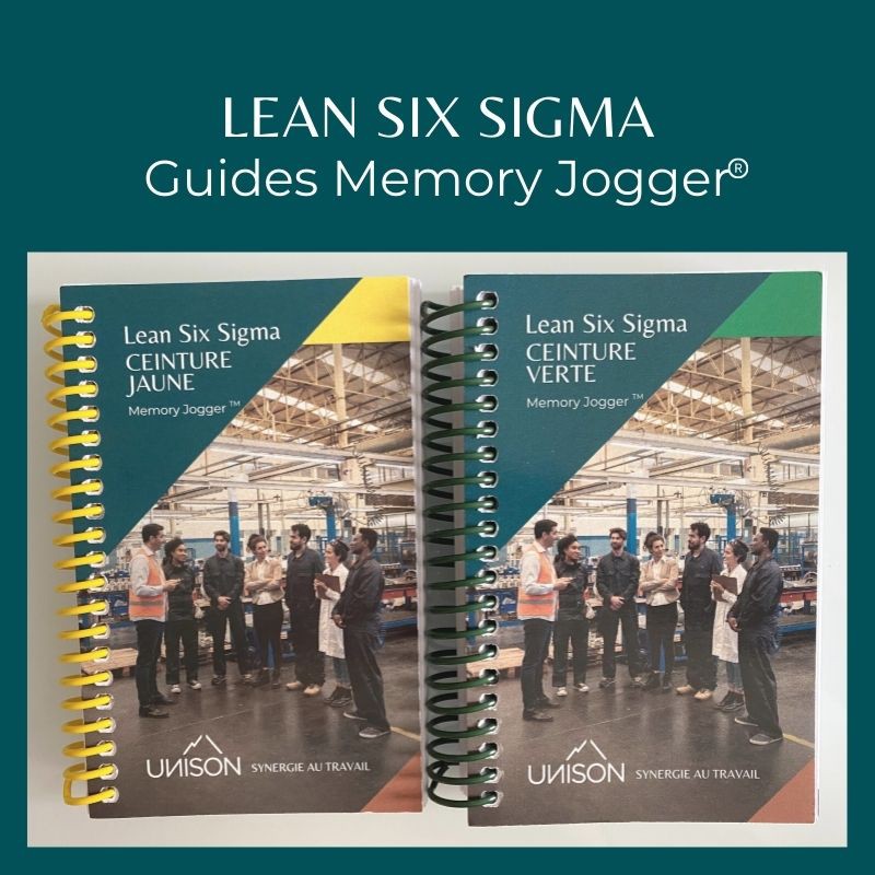 Lean Six Sigma Guides Memory Jogger